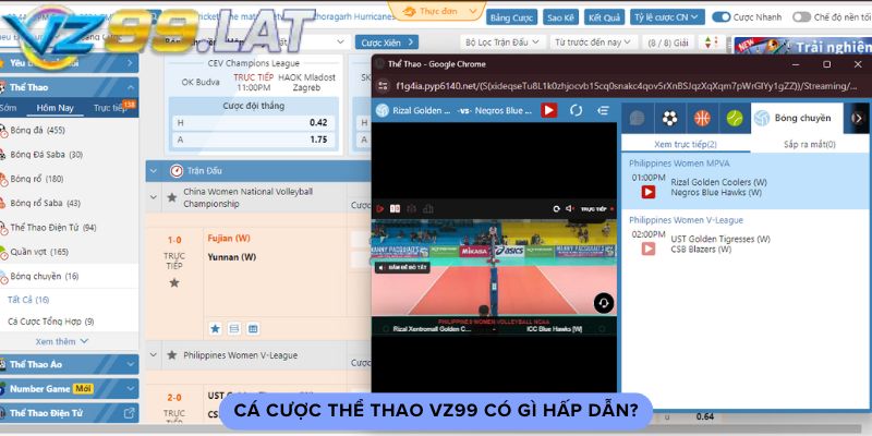 Cá cược thể thao vz99 có gì hấp dẫn? Cá cược thể thao vz99 có gì hấp dẫn?