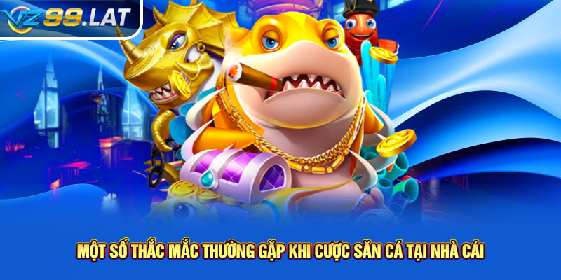 Một số thắc mắc thường gặp khi cược săn cá tại nhà cái Một số thắc mắc thường gặp khi cược săn cá tại nhà cái